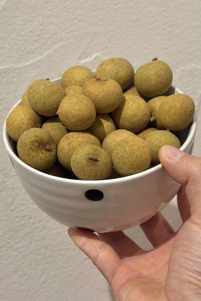 食べる手が止まらなくなるロンガン（竜眼）