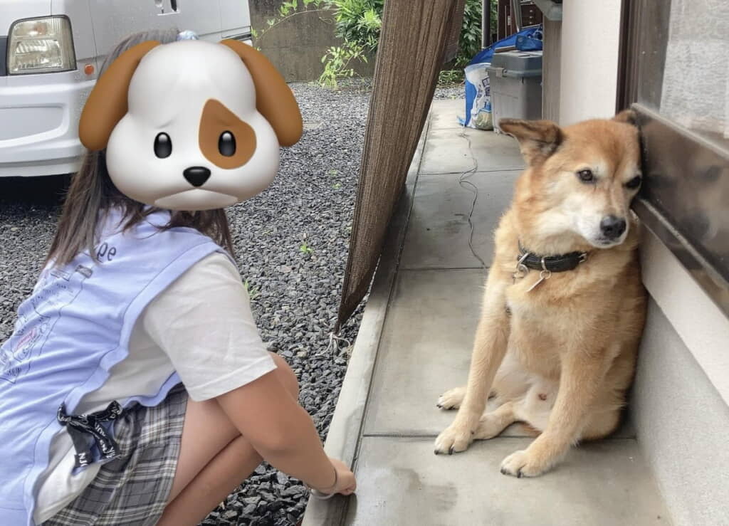 娘さんにはちょっぴり恥じらい？