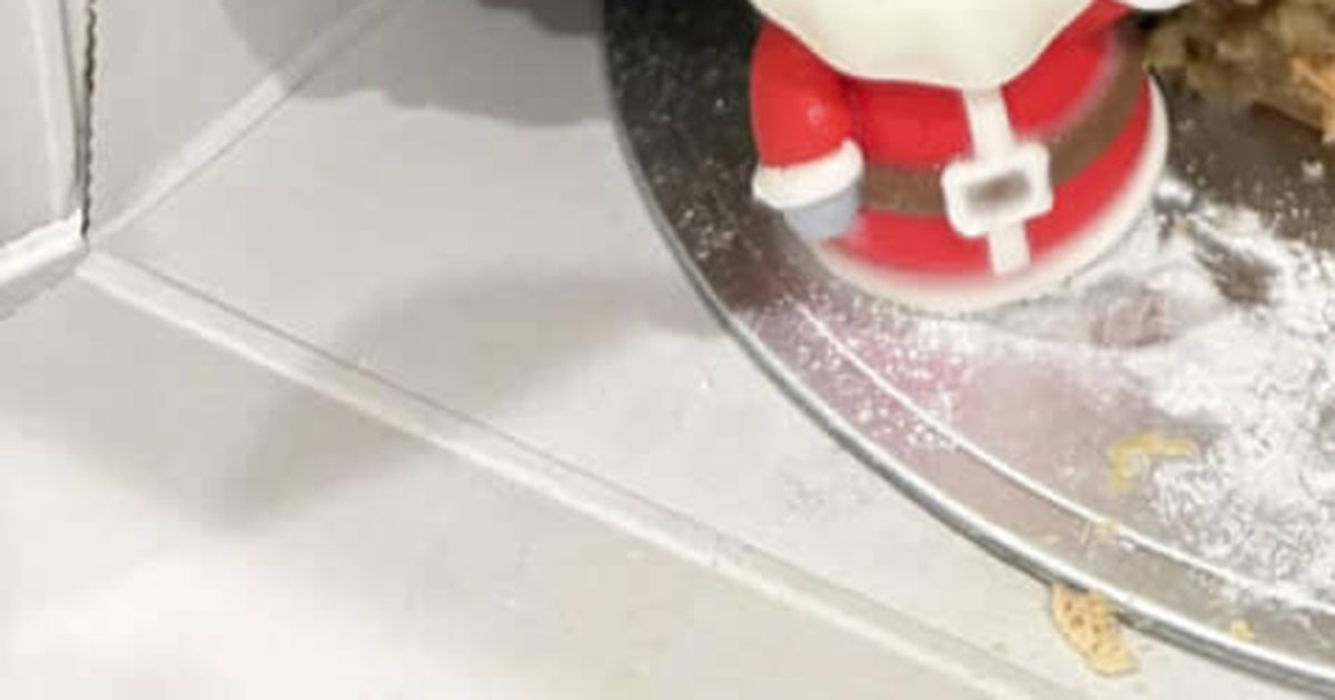 夫が慎重に持って帰ったケーキ→ウキウキで開けたら……「何がどーなってこの状態に??」　衝撃の中身が130万表示（1/2） | グルメ ねとらぼ