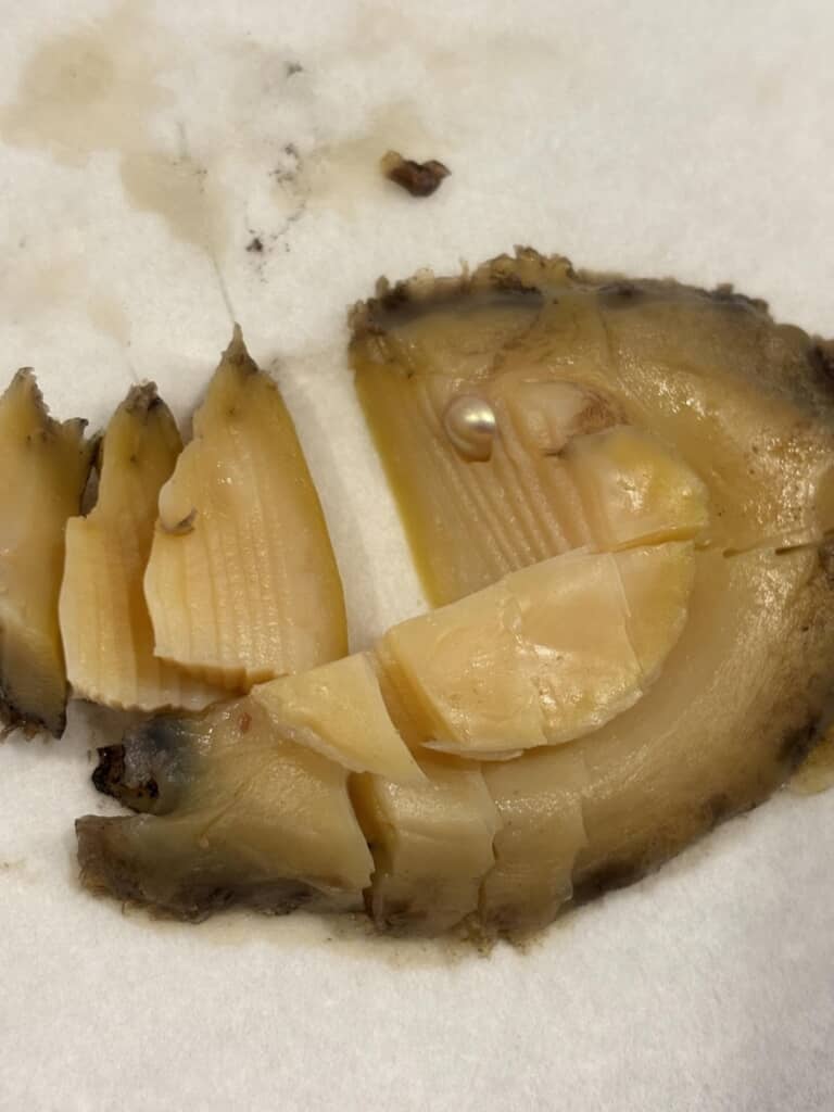 丸い物体が埋まっているアワビ