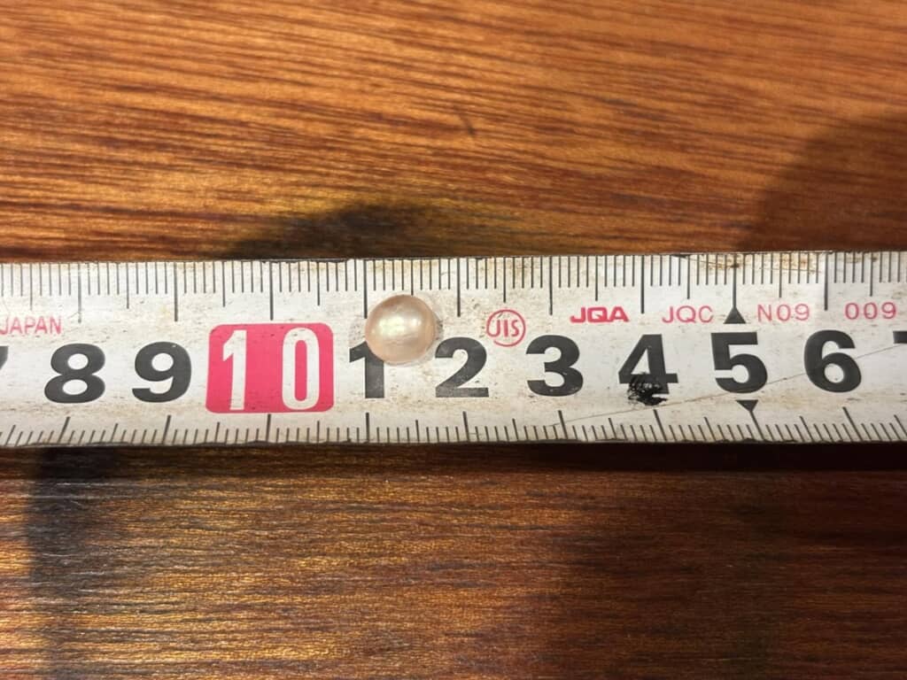 直径5～6ミリほどのアワビ貝真珠