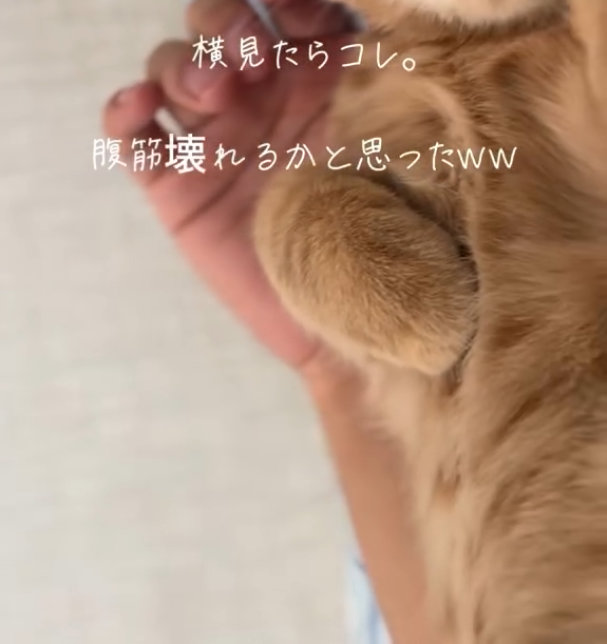 衝撃の光景が広がっていました