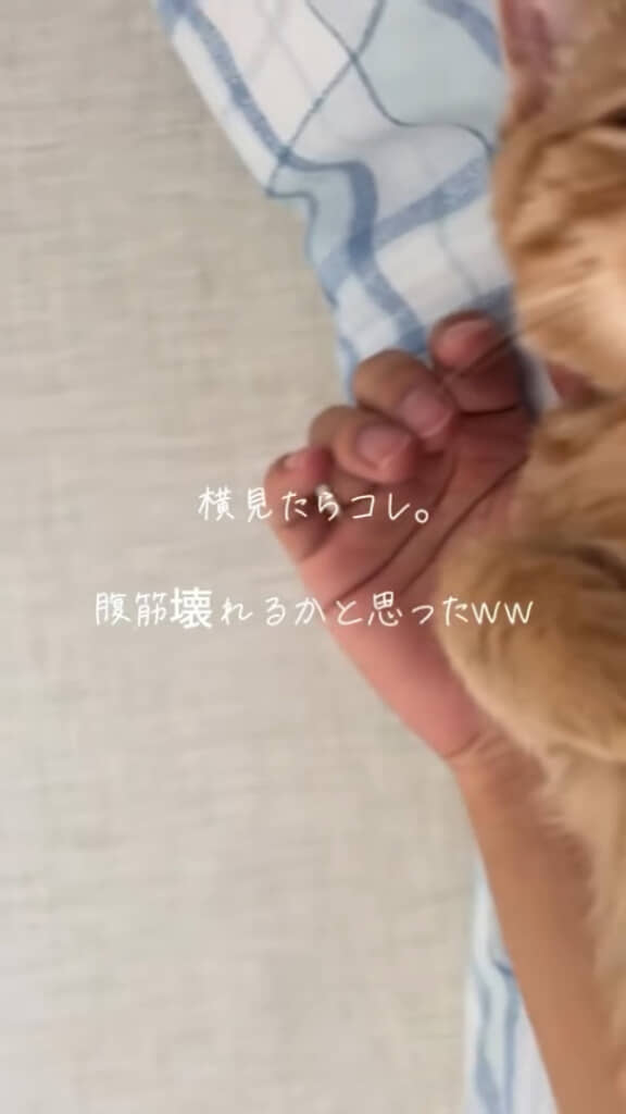 寝ているときに横を見たら……