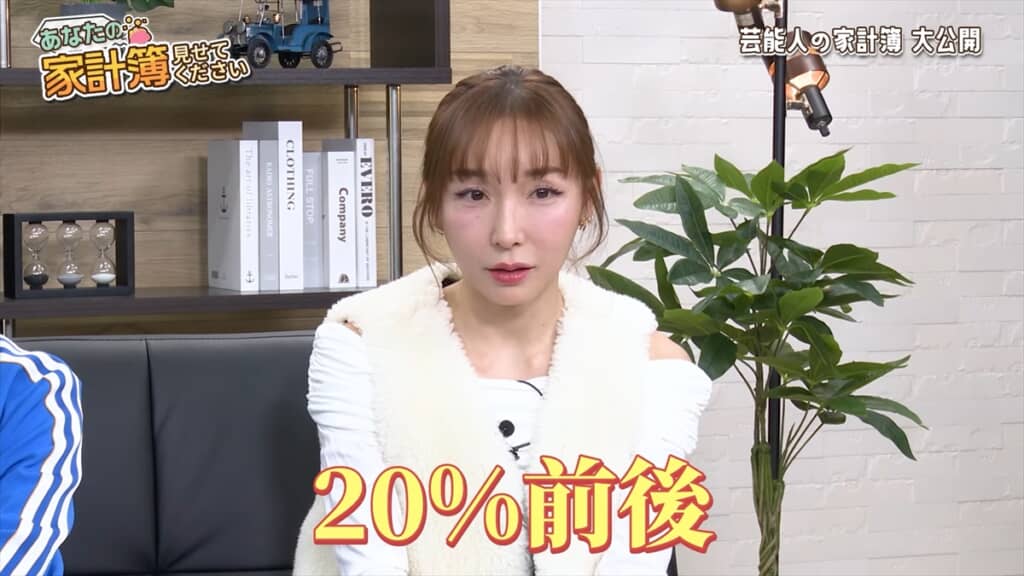 加護亜依の家計簿