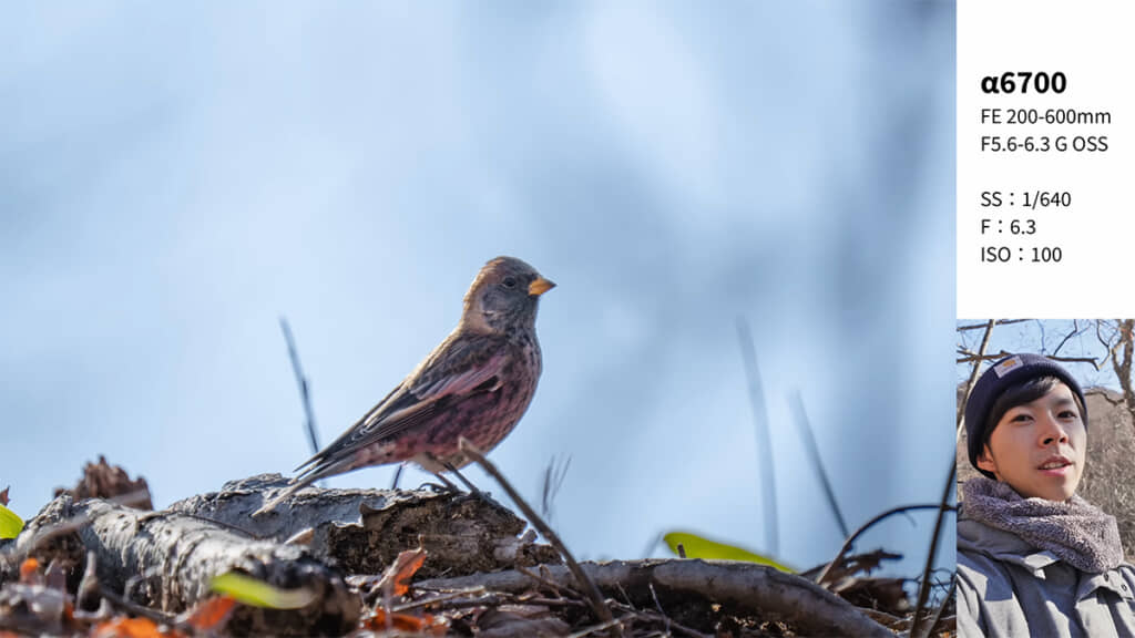 最高の出会いを果たしたとむさんなのでした