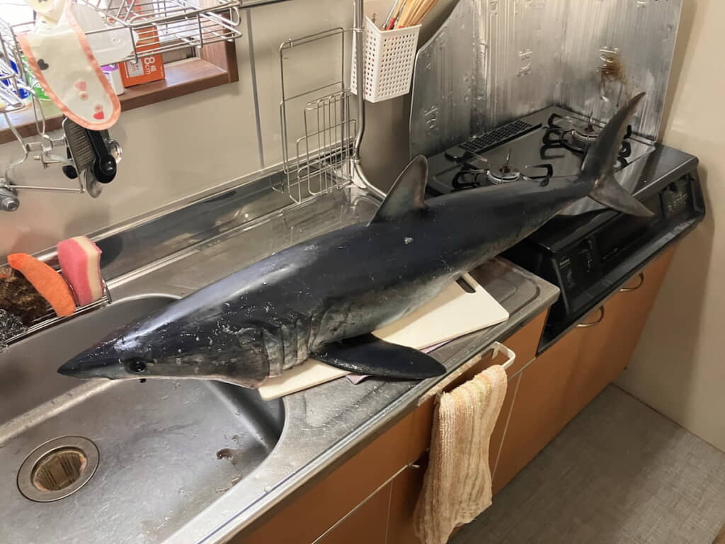 家庭のキッチンには手に負えないサイズ感