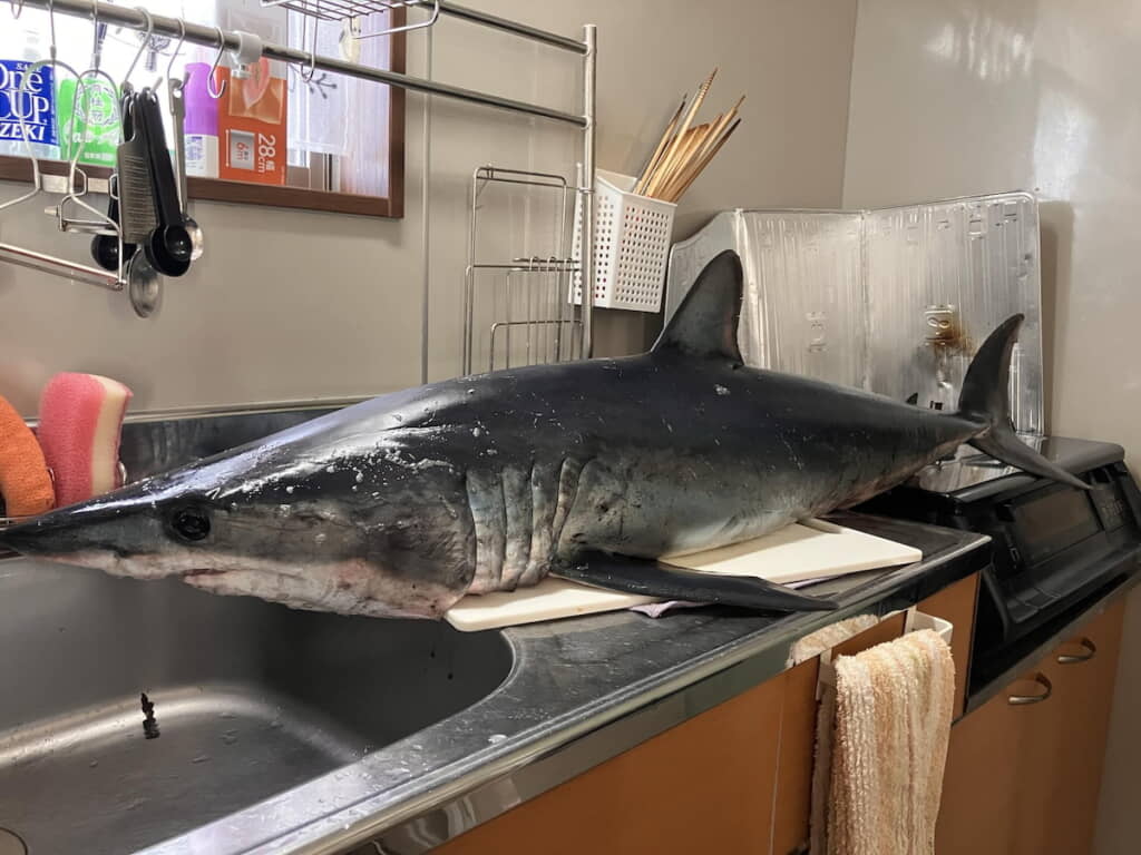 新鮮さを感じさせるボディのつや