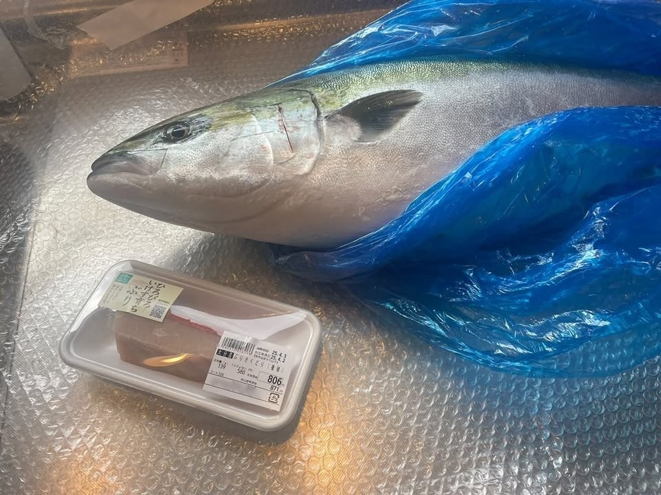 2人の友人が買ってきたブリのさくどりとブリ丸ごと1匹