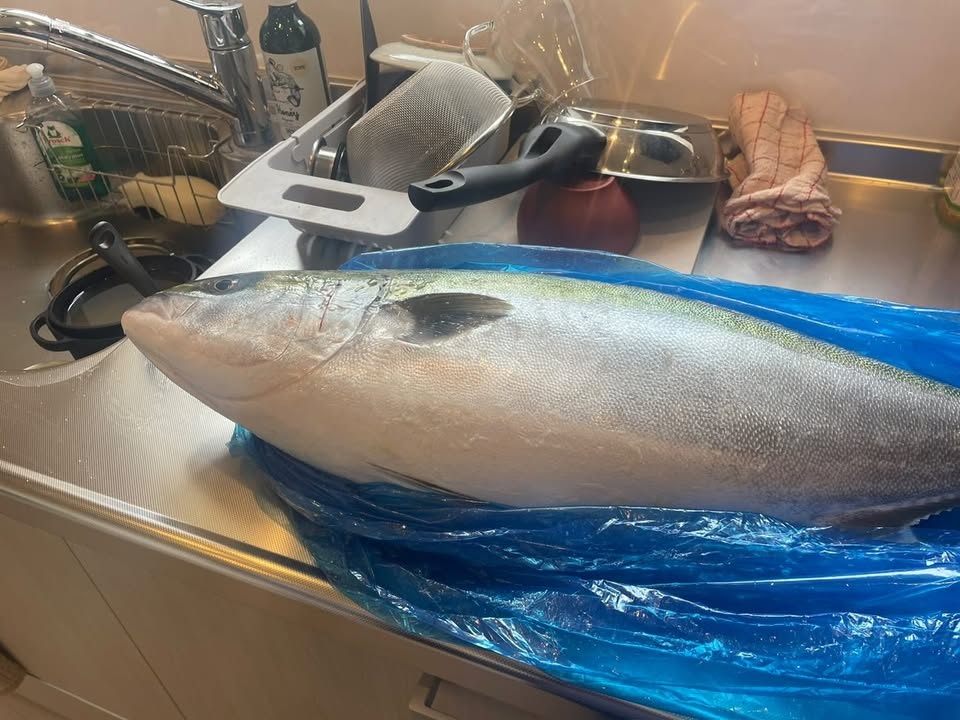 調理場に置かれたブリ