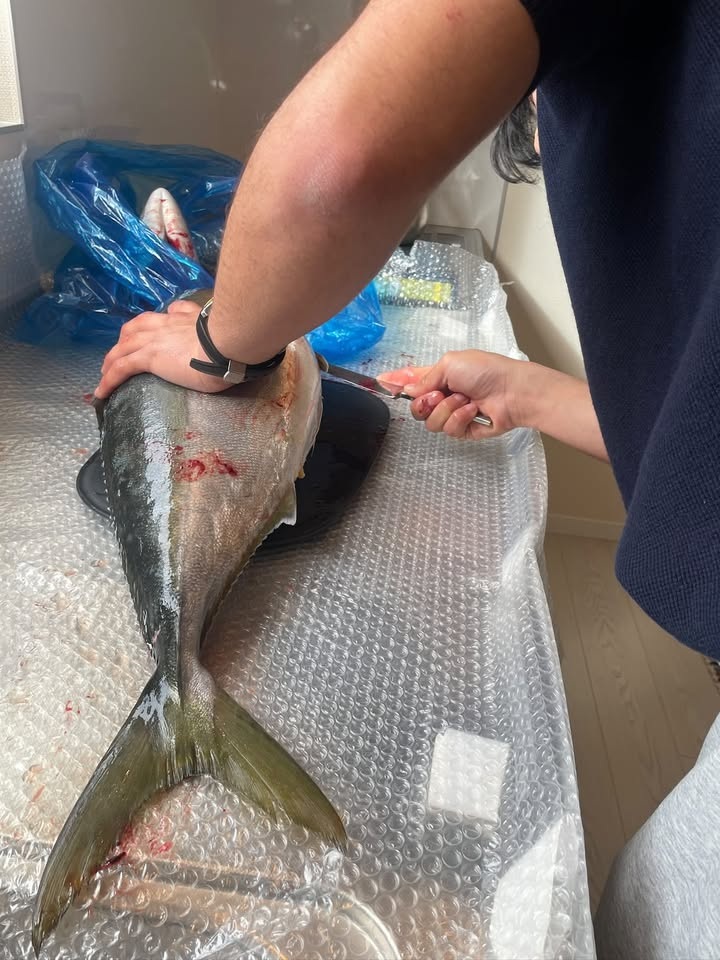 買ってきた本人がブリをさばく