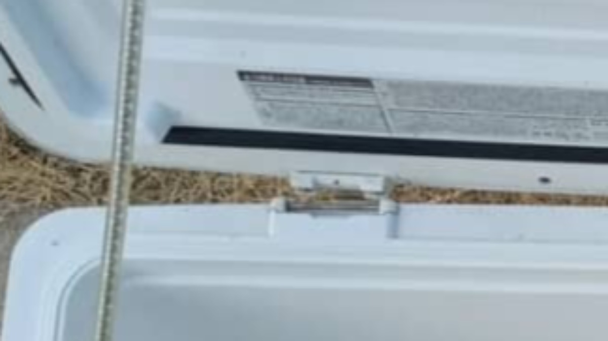 寒ブリが大漁と聞いた釣り人「釣果はこちら」→大型クーラーを開けてみると……　まさかの中身に「おぉー！」「とっても高級なお魚」（1/3） | ライフスタイル ねとらぼ