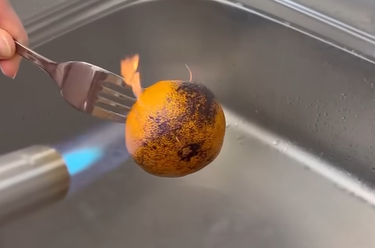 ミカンはそのまま食べないで！　20代ママが教える“皮をこんがり焼くだけ”驚きの裏ワザが話題（1/3） | ライフハック ねとらぼ