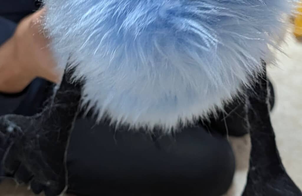 スンスンのパペットを自作してみた