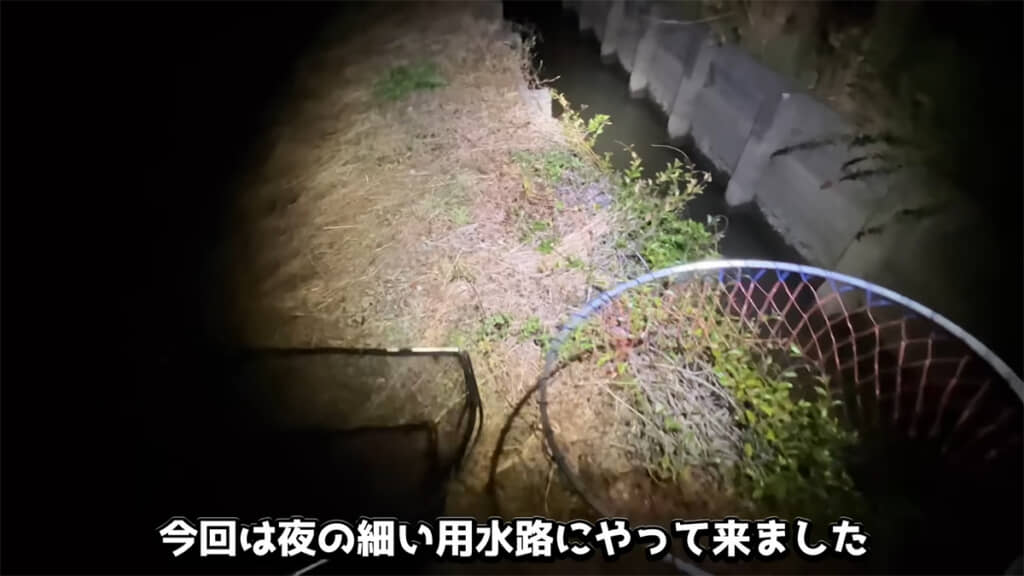 夜の用水路にやってきました