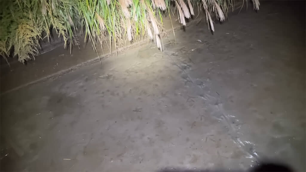 新しい足あとも発見しました