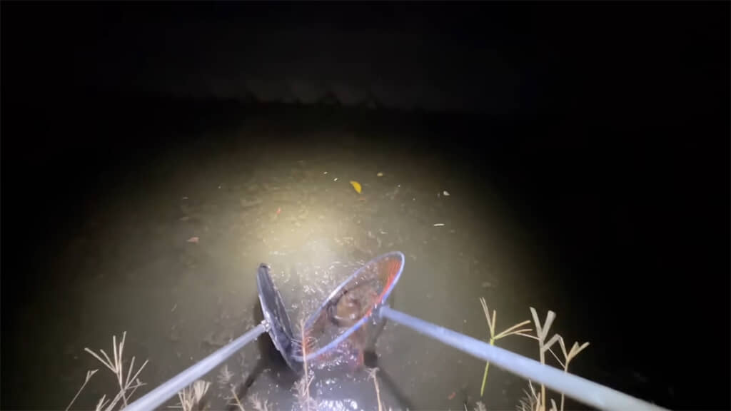 2本の網で挟み込み、見事に捕獲