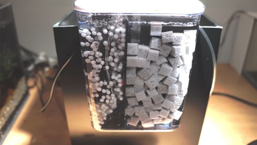 新しい水槽にセットされた外掛けフィルター