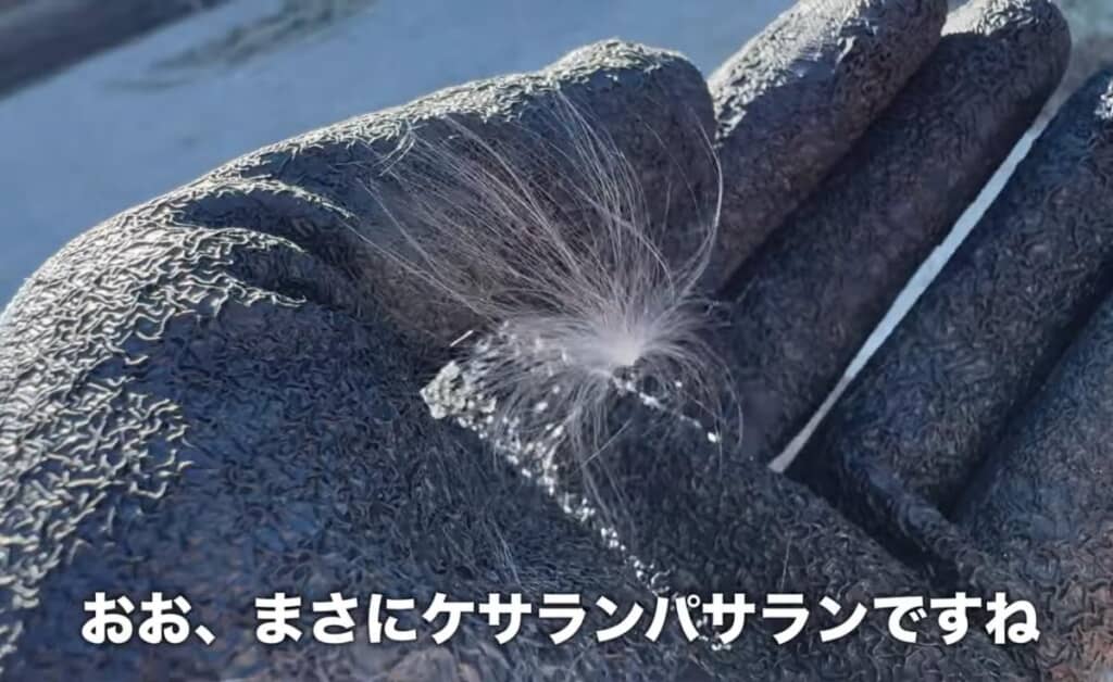 まさにケサランパサランのようです