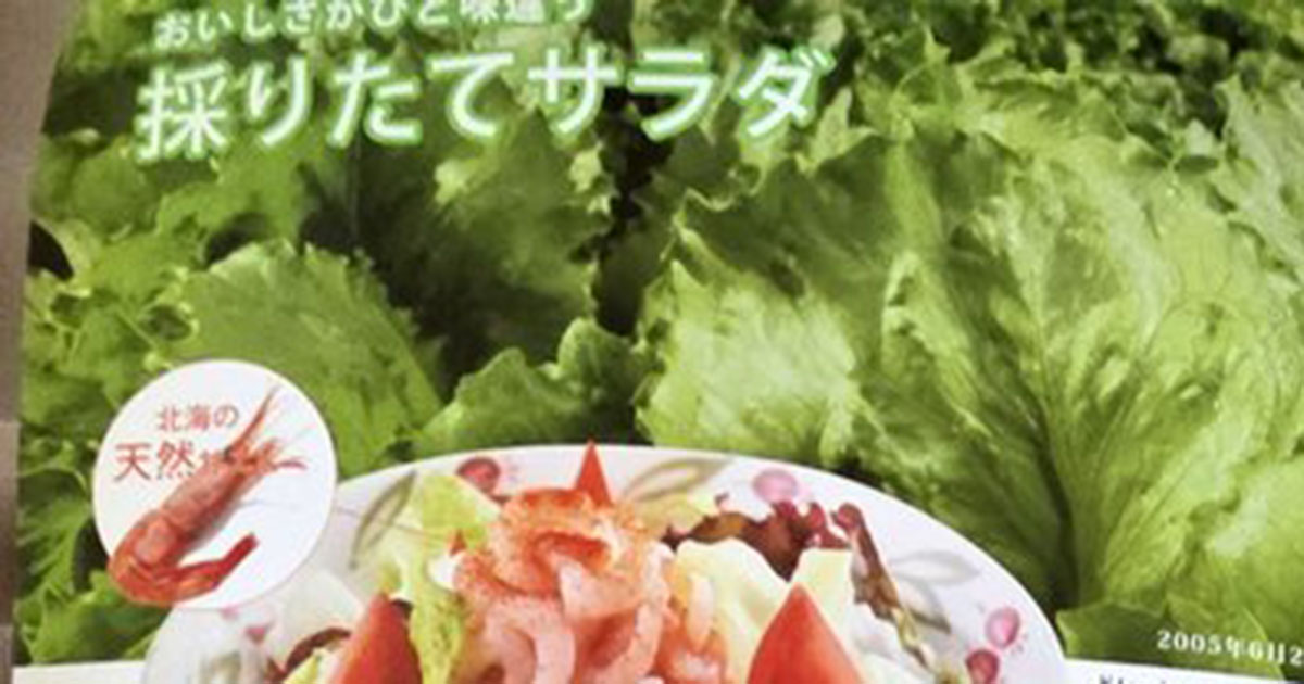 実家で見つけた“サイゼリヤの約20年前のメニュー表”→開くと……　「この時代に戻してくれ」「マジで復活してほしい」と262万表示（1/2） | グルメ ねとらぼ