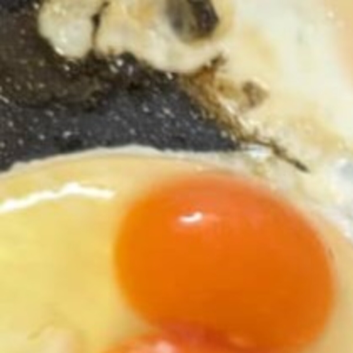 目玉焼きを作るため、卵を4つ用意→割ったら……　「そんな事ある!?」まさかの光景に「すげーーー!!!」（1/3） | グルメ ねとらぼ