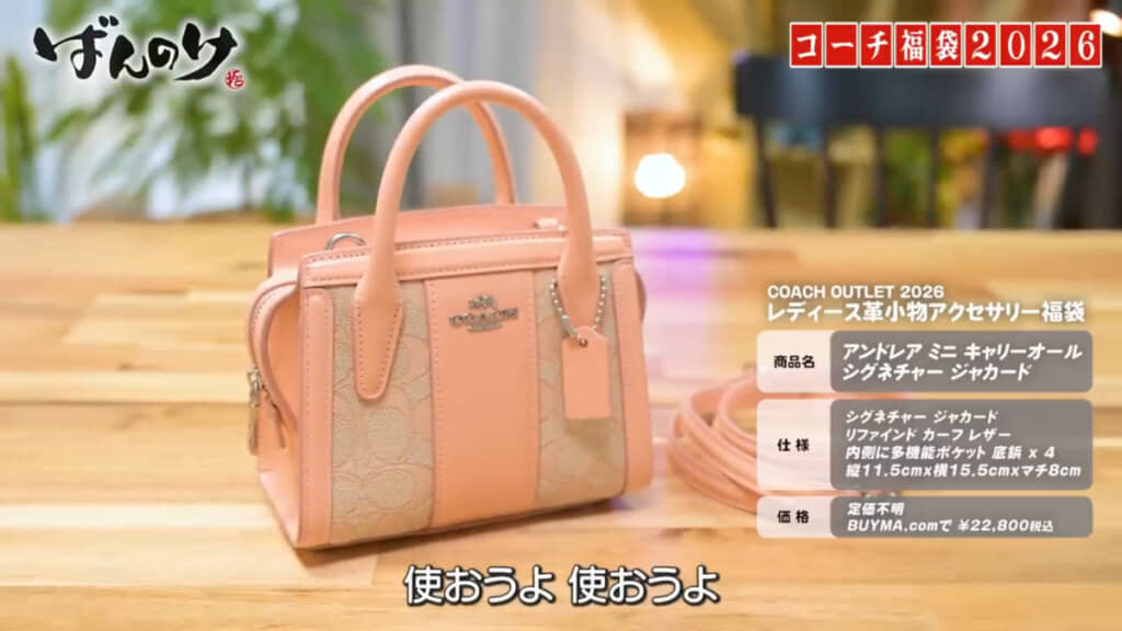 2点目はミニバッグ「アンドレア ミニ キャリーオール シグネチャー ジャカード」