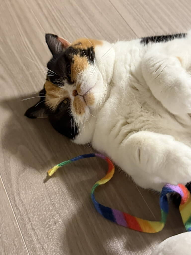 実はお鼻がハートです