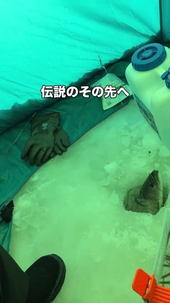 氷の穴から顔を出したイトウ