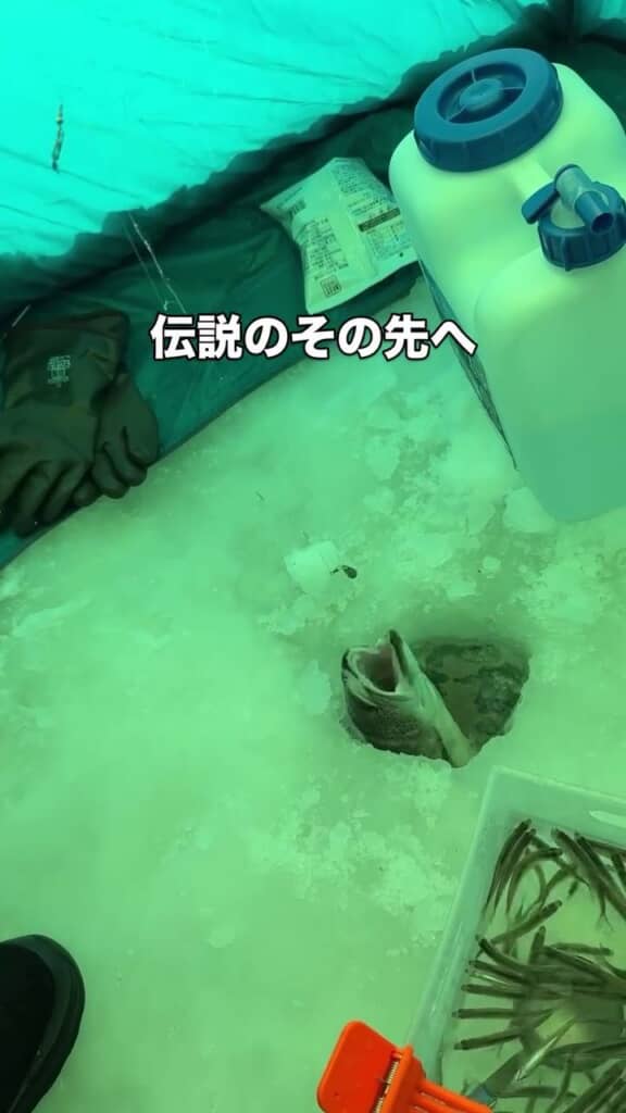 口を大きく開けているイトウ