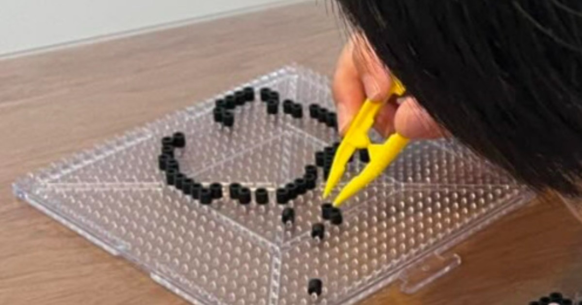 親子2人がアイロンビーズで9カ月かけて作ったのは……「ものっっっすごい力作」　驚きの完成品が11万いいね「センスの塊」「ほんま凄過ぎて」（1/2） | ハンドメイド ねとらぼ