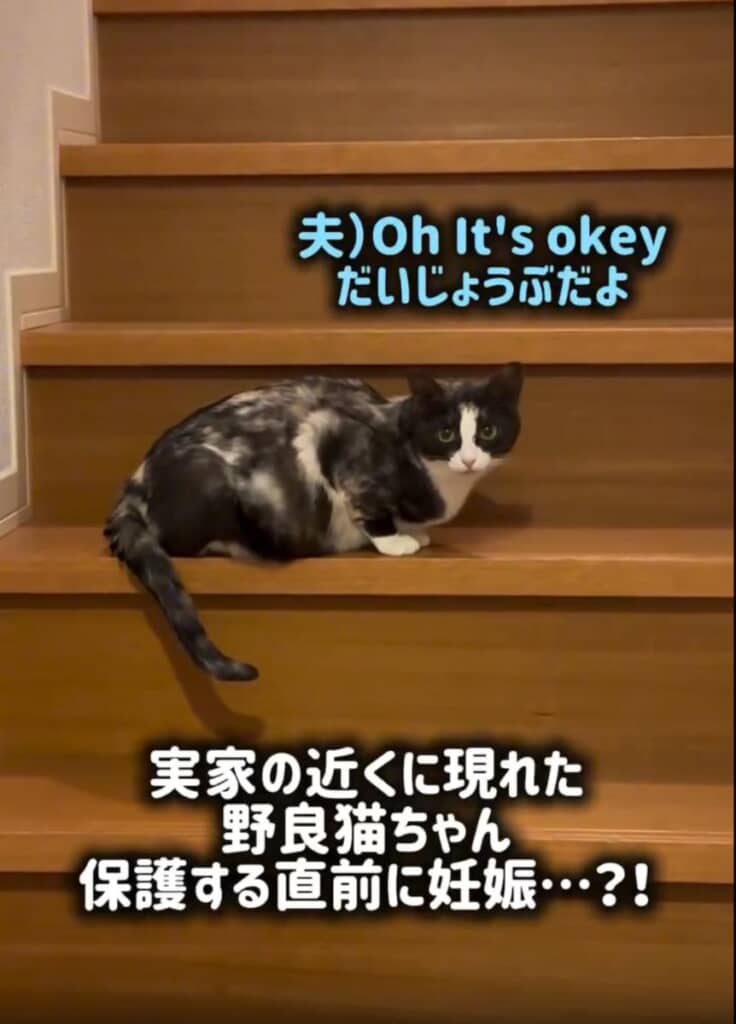 まさかの妊娠疑惑……