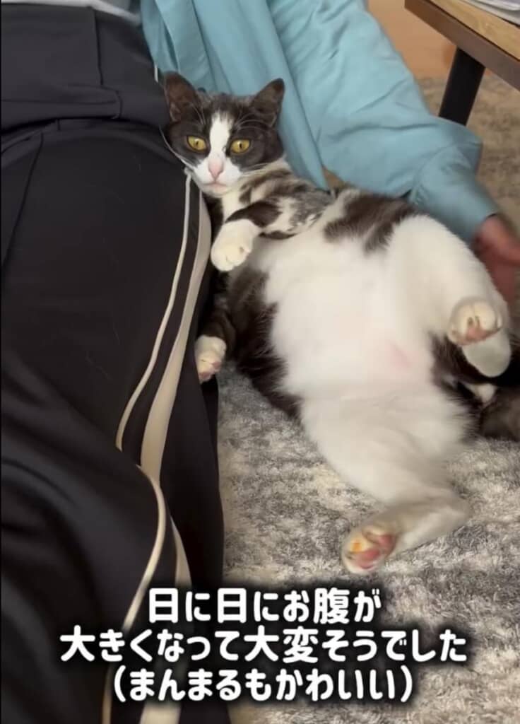 元気にマタニティライフを満喫中