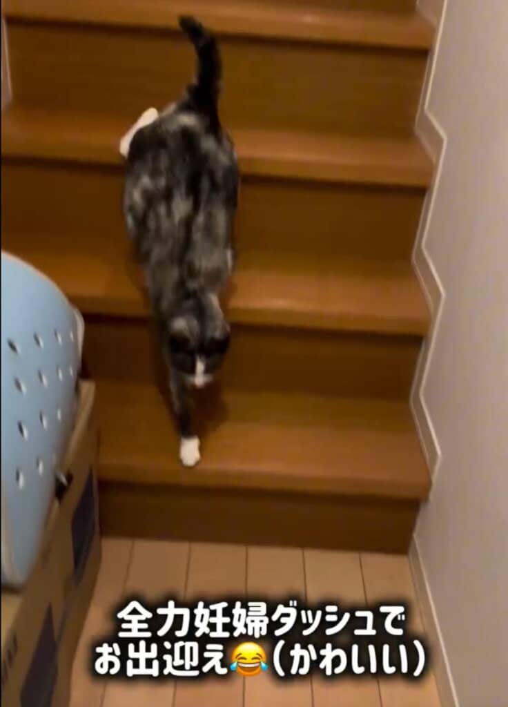 まだまだアクティブに過ごしています