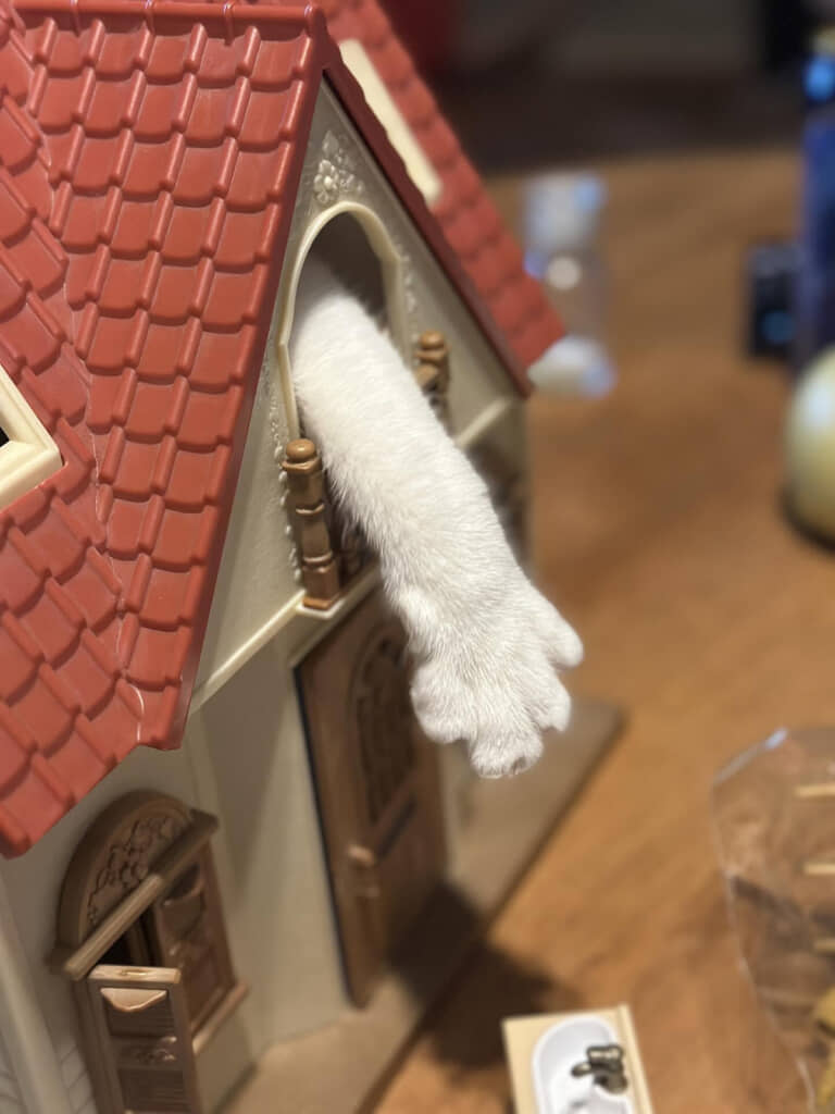 手だけでもカワイイ