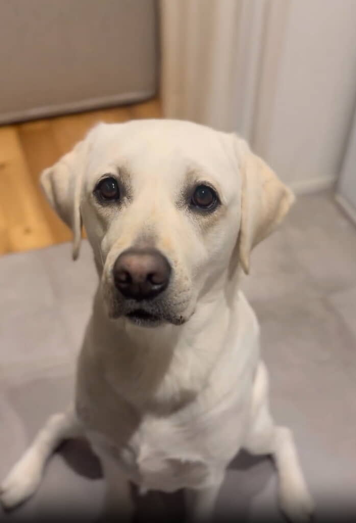 優しそうなおめめにキュン