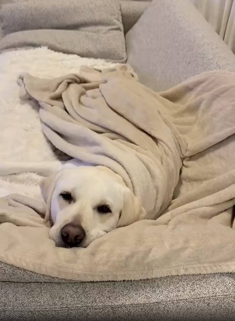 お口のムニッと感がたまらない