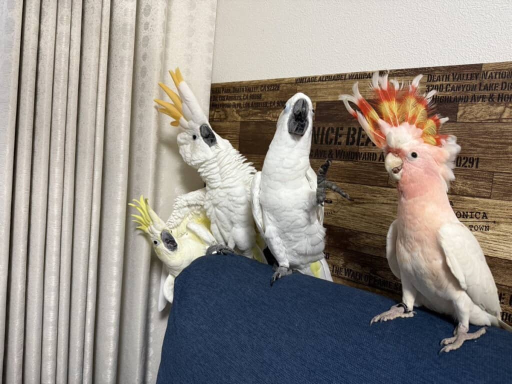 カラフルな集合写真◎