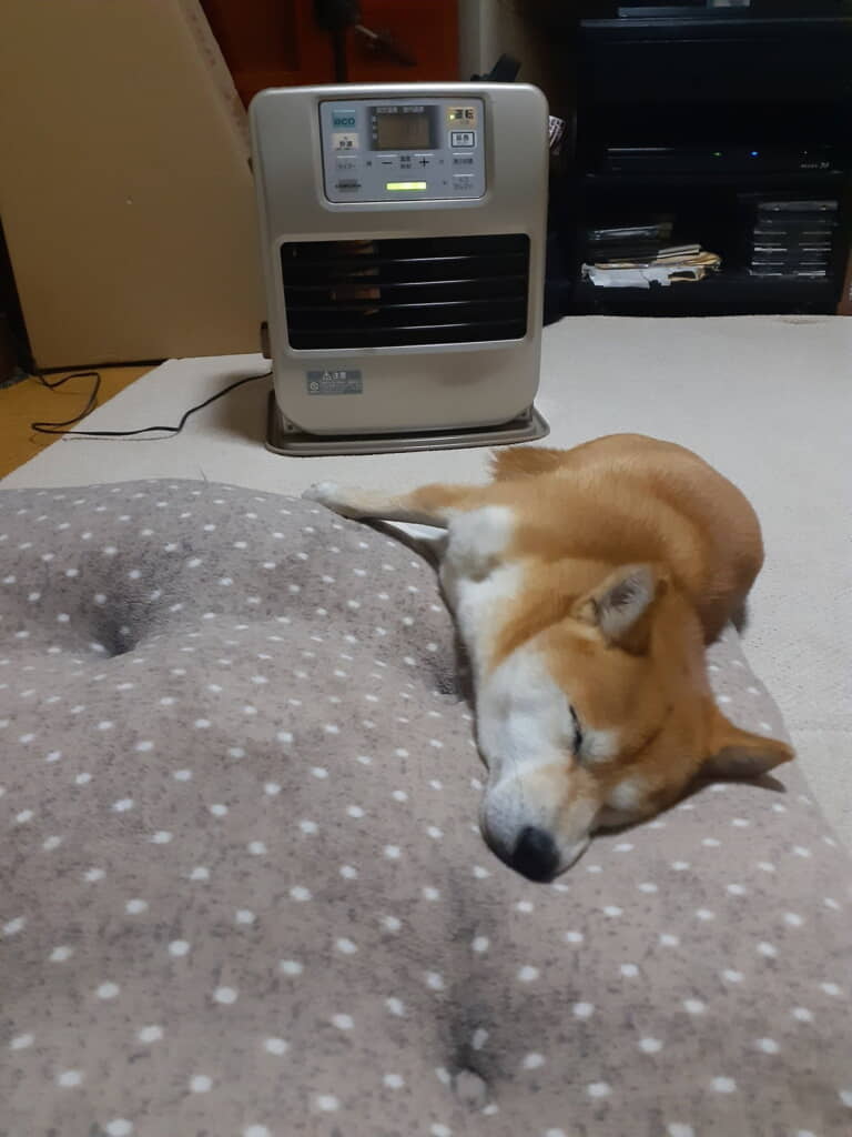 やっぱり冬はストーブだよねぇ