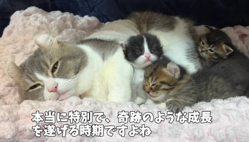 貴重な1カ月の成長記録