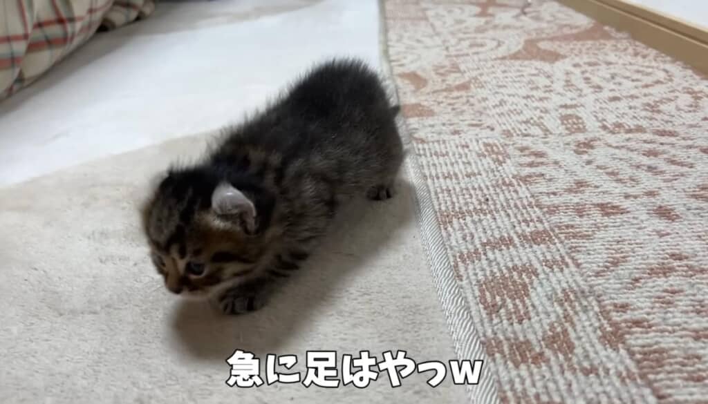 ママが大好きすぎて足が早くなるつむぎくん