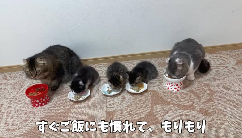 家族水入らずでごはん