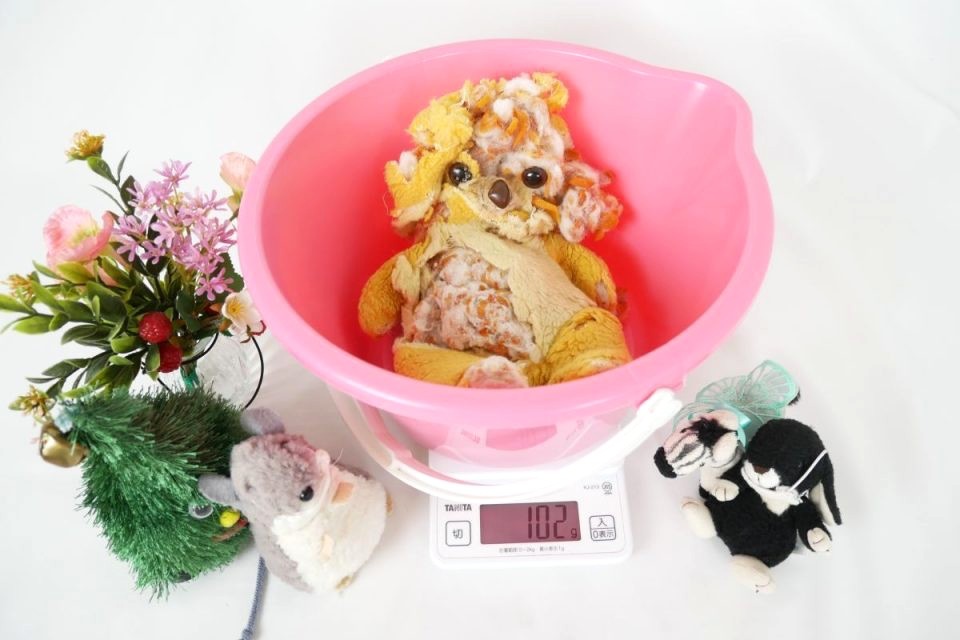 重傷を負ったぬいぐるみが、ぬいぐるみ専門病院に入院してきました