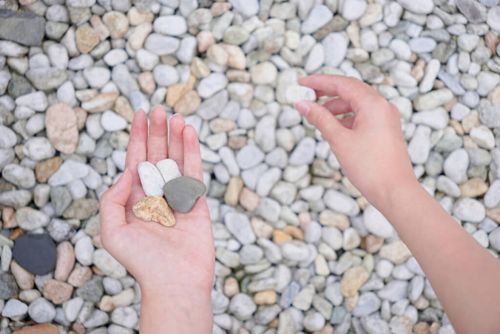 「石を育てる」とは……？