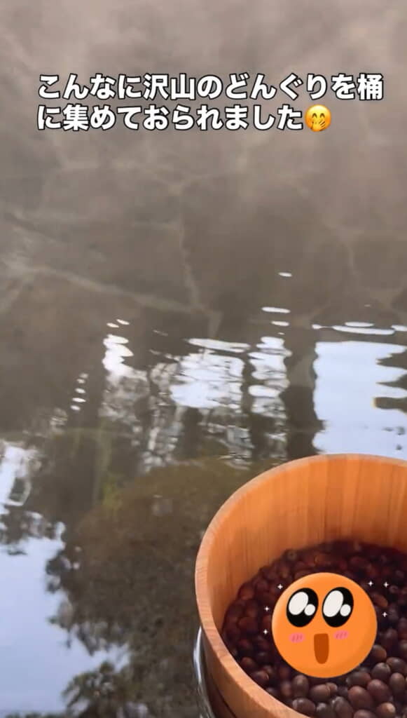 桶の中にどんぐり……?
