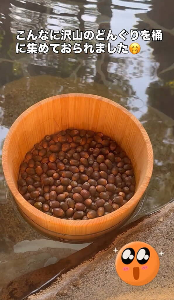 こんなにたくさん……!