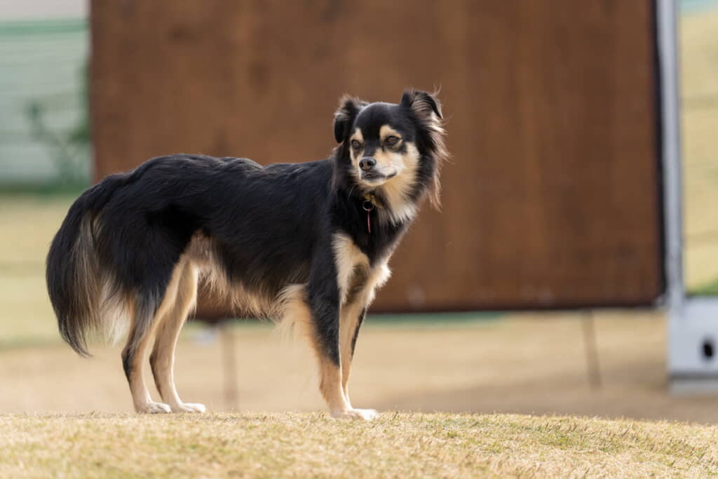 スラッとした長い手足！