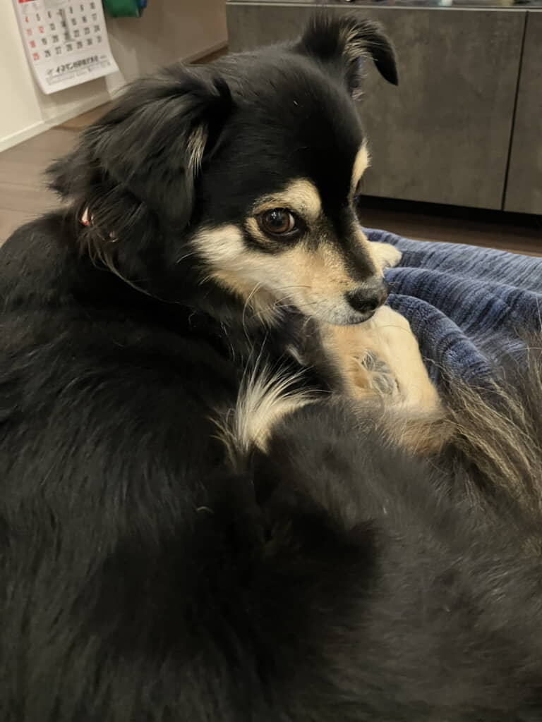 あどけない表情も