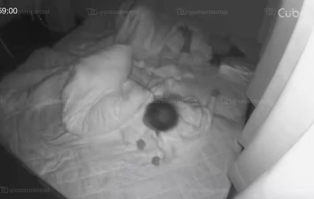 ふと起きた娘ちゃん