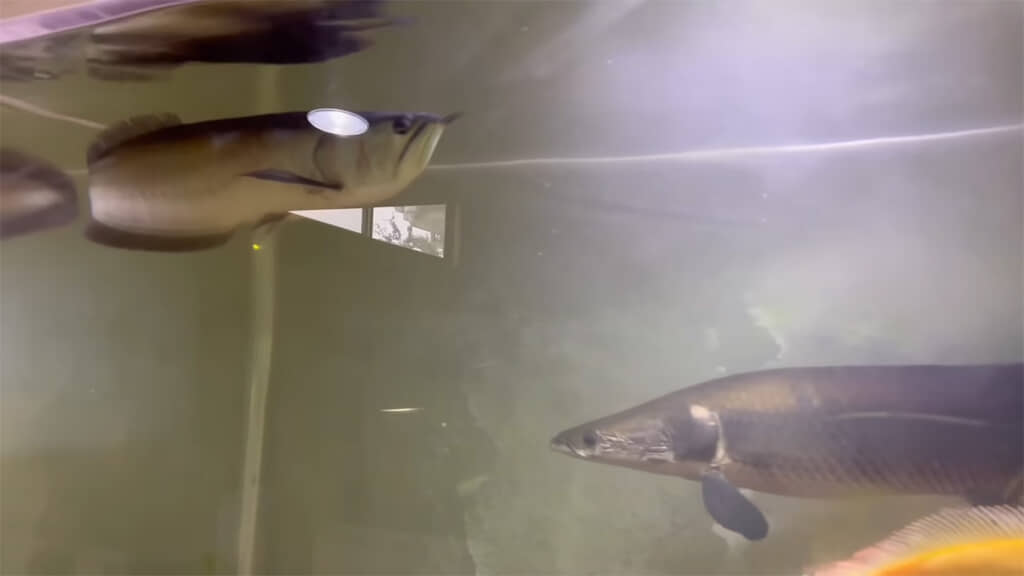 控えめな性格なのだとか