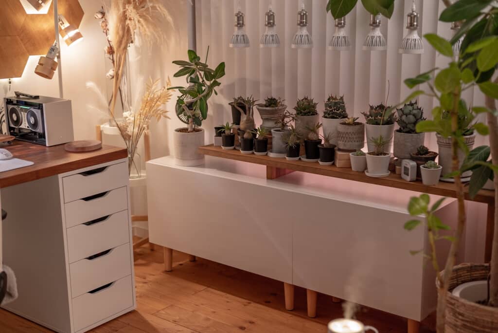 観葉植物が並ぶ温かみのある室内インテリア