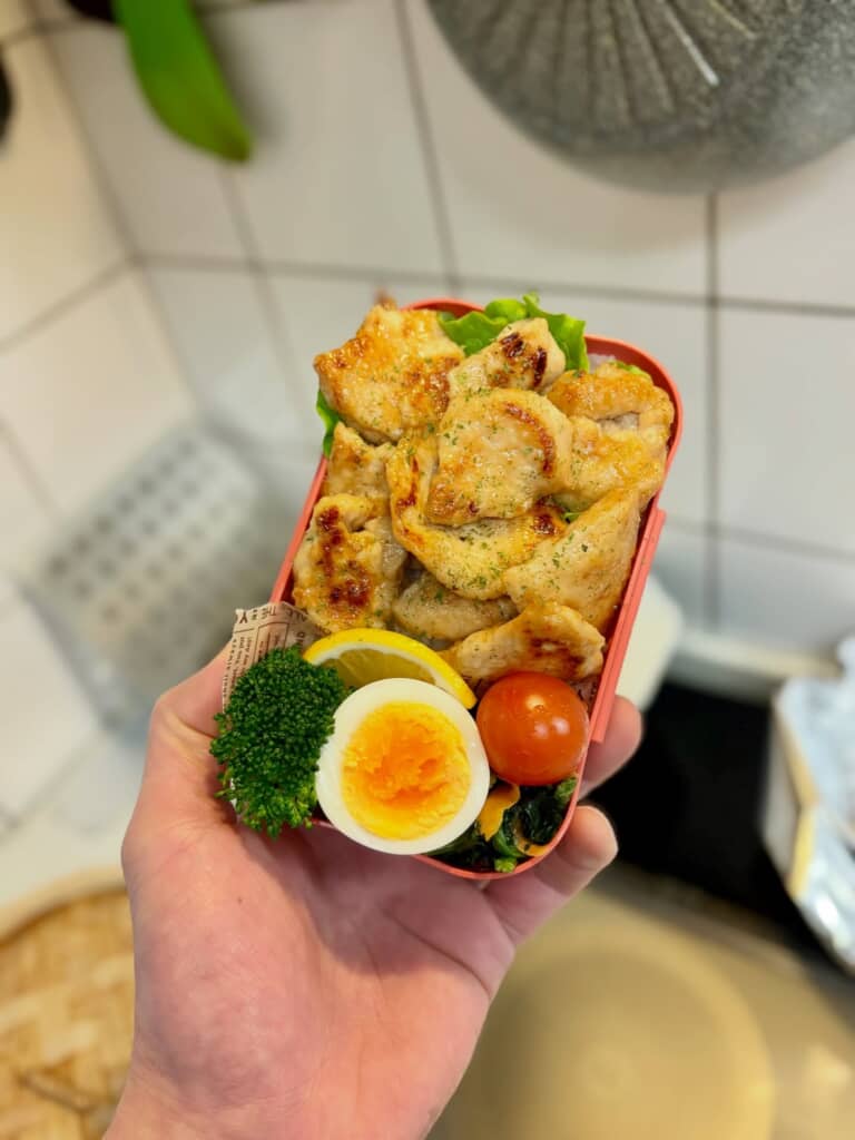 手に持った鶏肉メインの小さな弁当